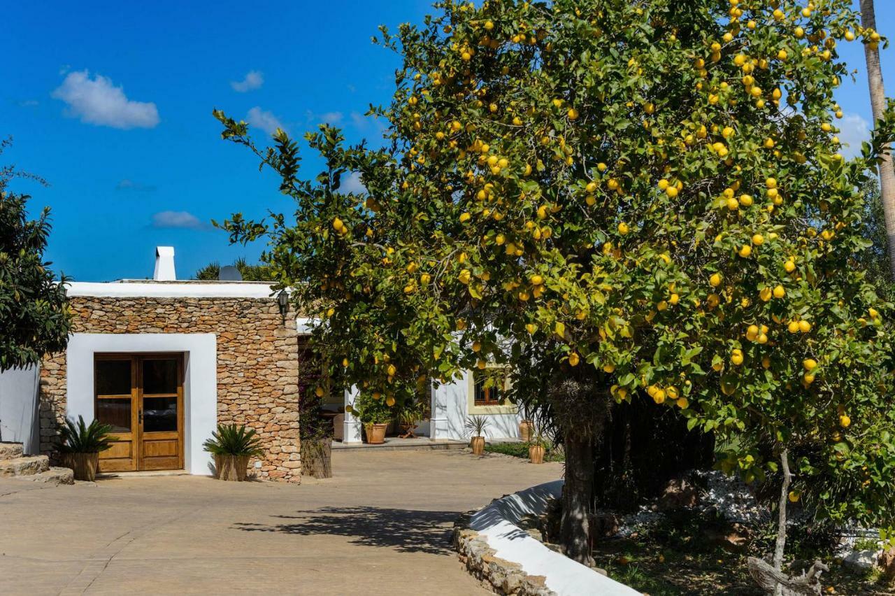 Villa Can Fita Puig D'en Valls Exteriér fotografie
